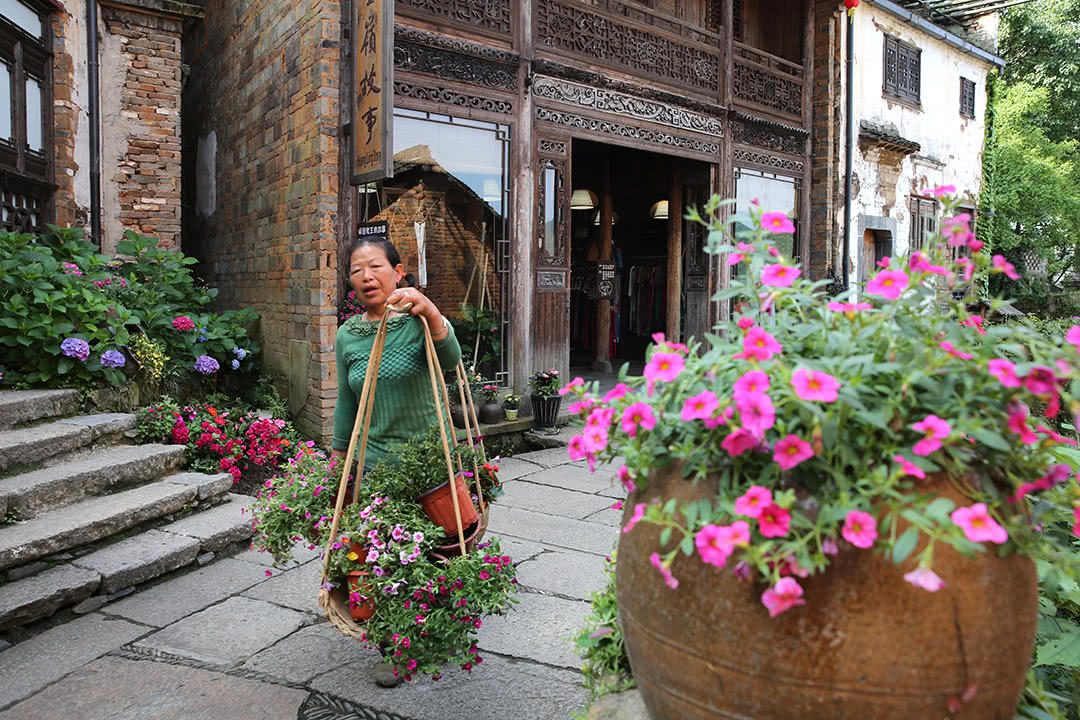 脚步哨村鲜花小镇图片