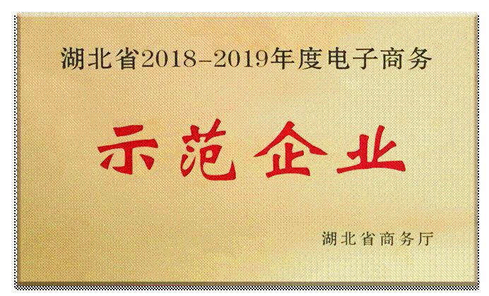 武汉火凤凰公司被授为湖北省2018-2019年度电子商务示范企业
