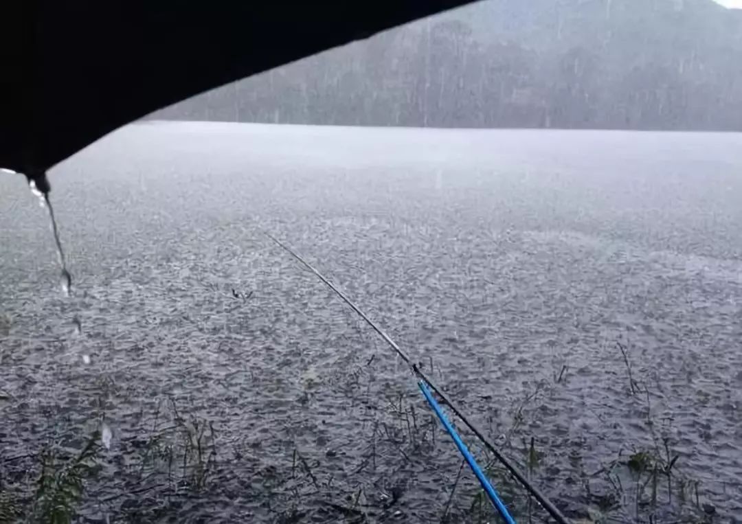 什麼天氣釣魚好?