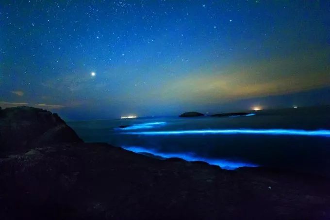 讓海水發出像銀河般的光影,隨著潮起潮落,水流慢慢盈動,藍眼淚就在水