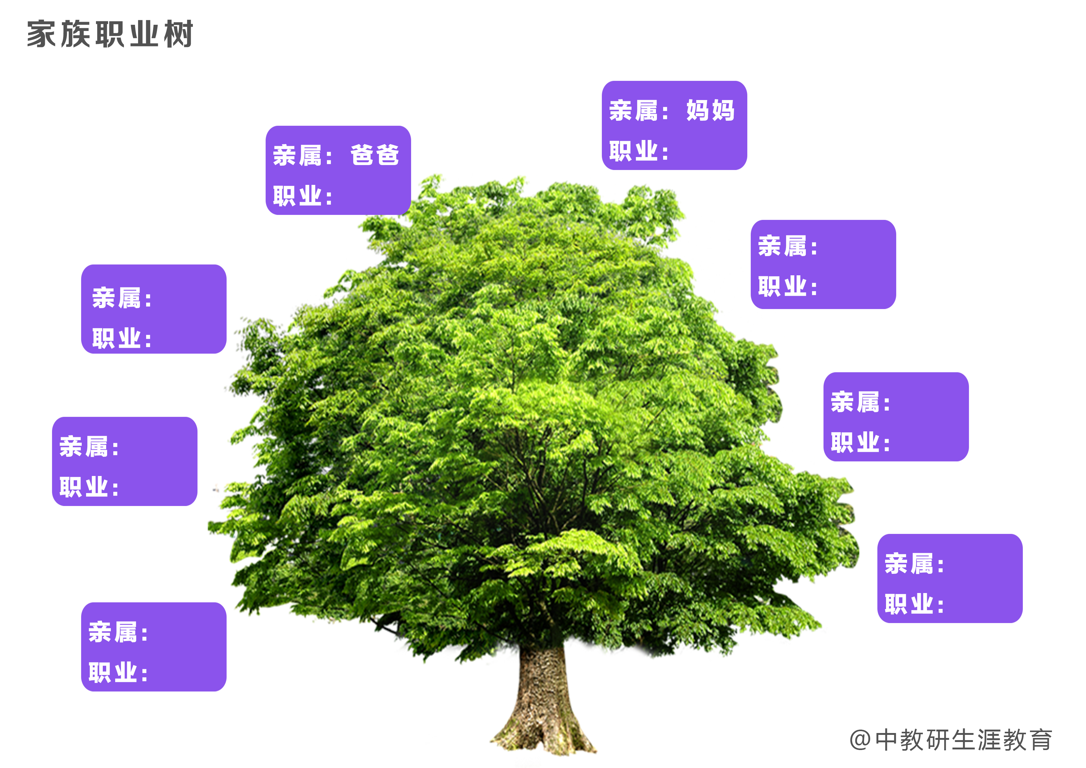 家族职业树 绘制图片