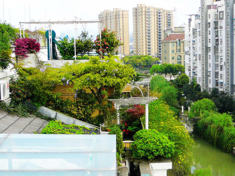 屋頂花園上的