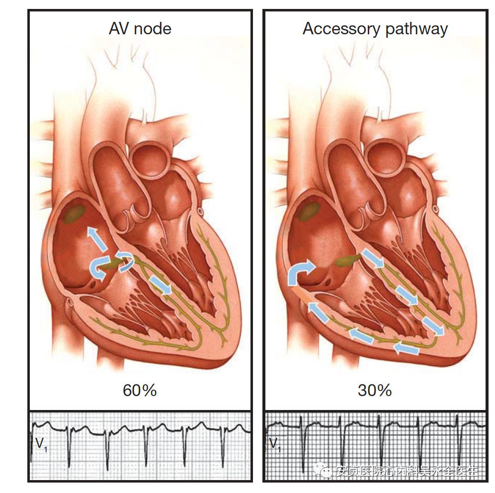 心电图机从体表记录心脏每一心动周期所产生的电活动变化图形的技术