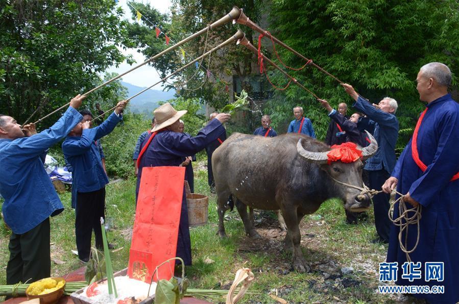 5月22日,在贵州省锦屏县大同乡章山村,少数民族同胞挑着乌米饭等来