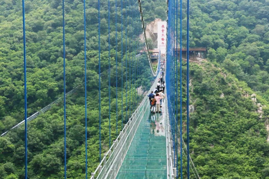 河南玻璃桥景点在哪图片