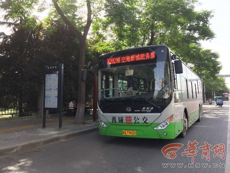 咸阳沣河森林公园公交图片