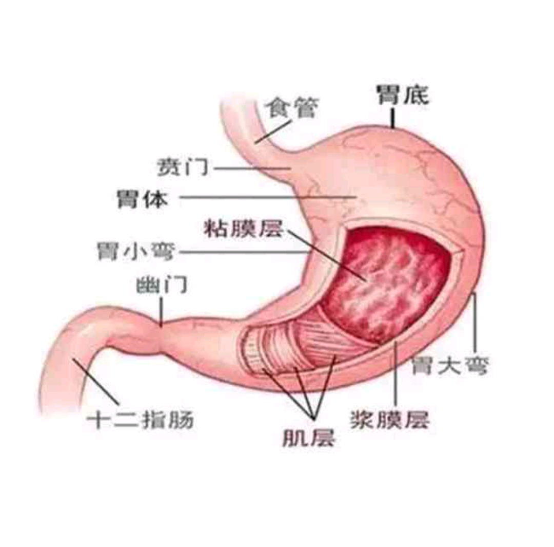 【轻盈医学】关于中西医结合治疗食道癌的方法