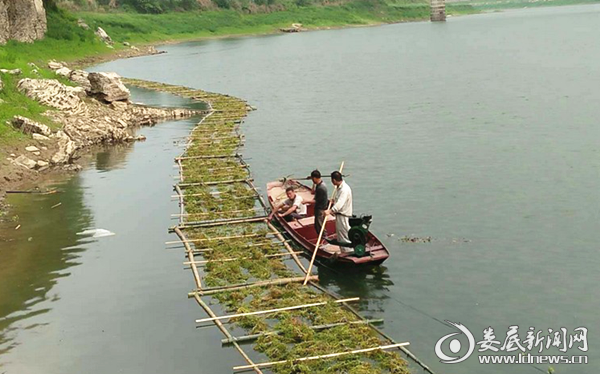 新化县畜牧水产局开展搭建人工鱼巢活动