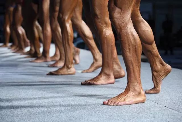 小腿的腓肠肌与比目鱼肌共同组成小腿三头肌,由于人们无论是步行还是
