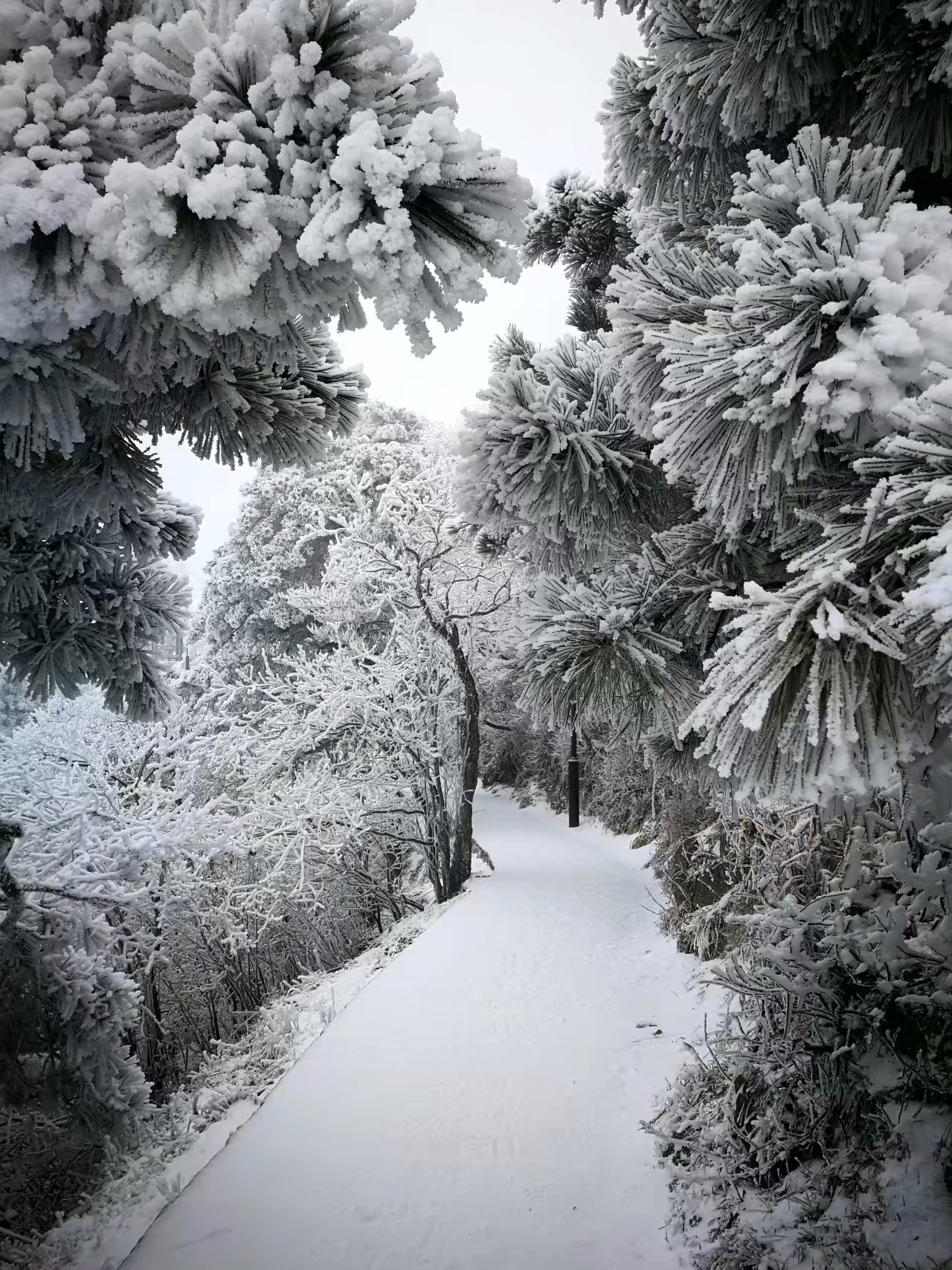 湖南衡山下雪图片