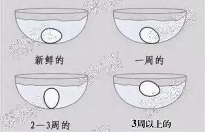 气室在鸡蛋的什么位置图片