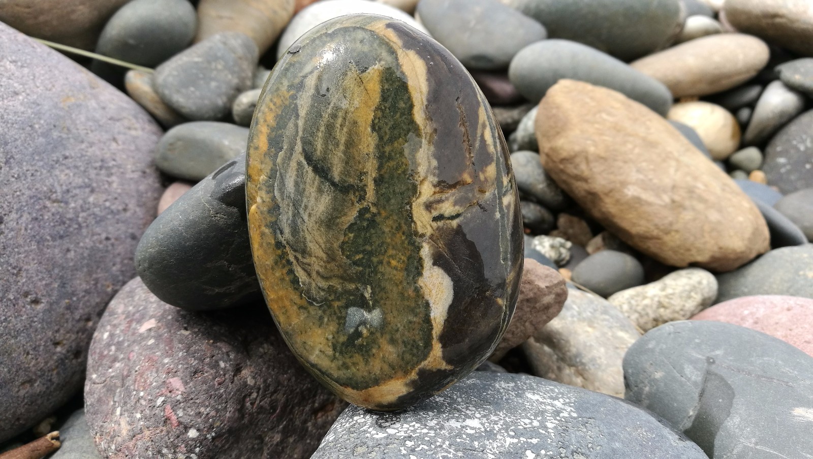 金沙江石头种类图片