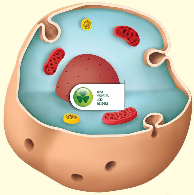 探索生命科学第三讲生物酶是一种什么物质