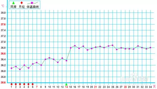 恩鹏健康｜「女性」健康管理系列(八)：认识月经的基础体温