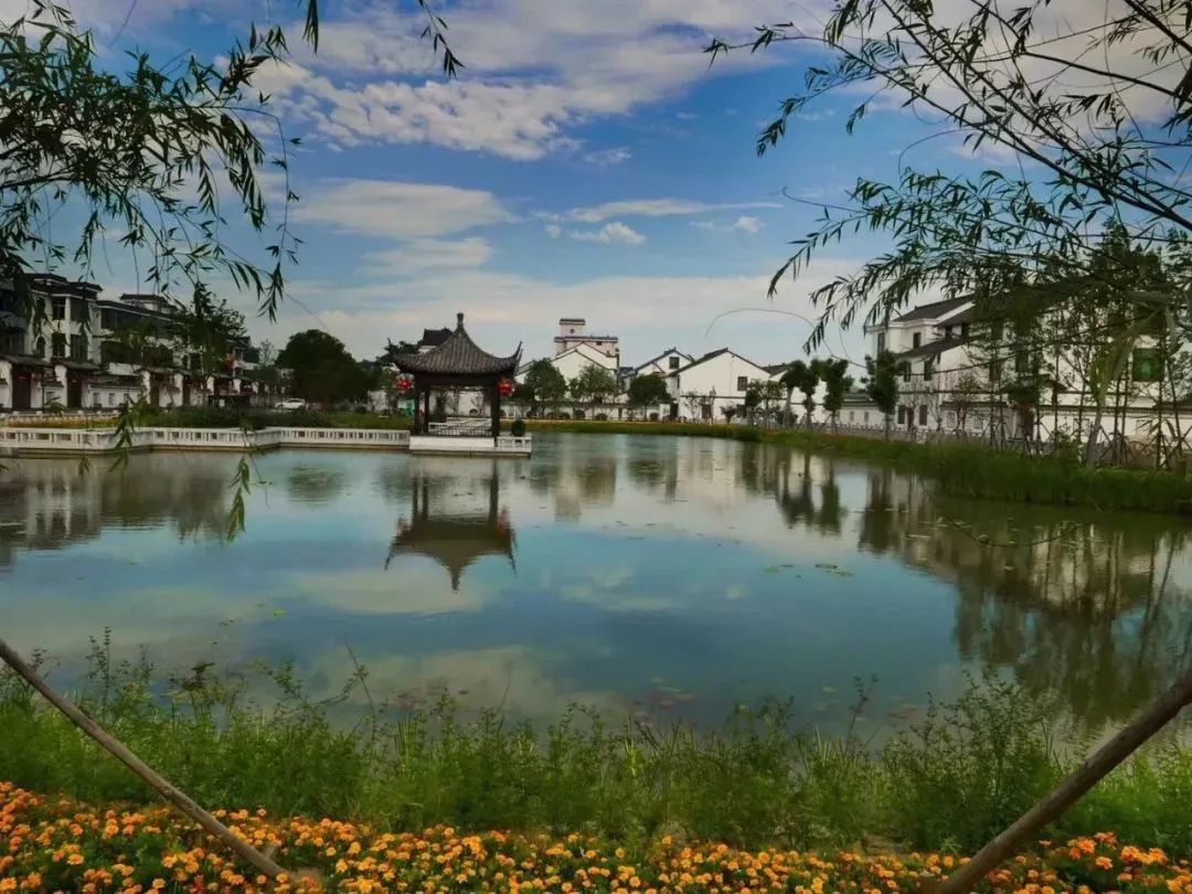 柯桥区齐贤街道光明居风景如画