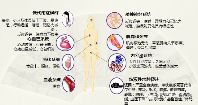 做个1分钟自测看看自己有没有甲减吧如果答案为是超过五个