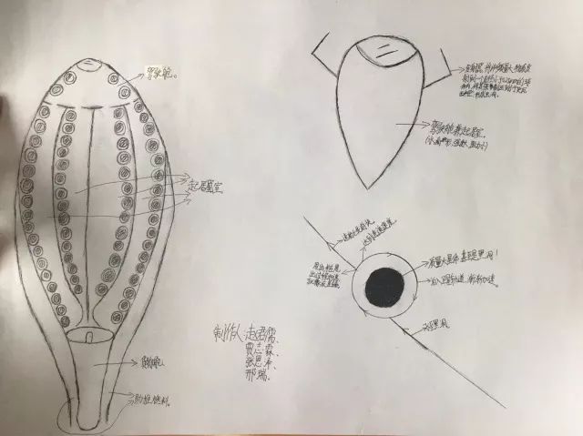 游戏券,photoshop制作等多种形式孩子们用手绘海报,设计图,在项目汇报