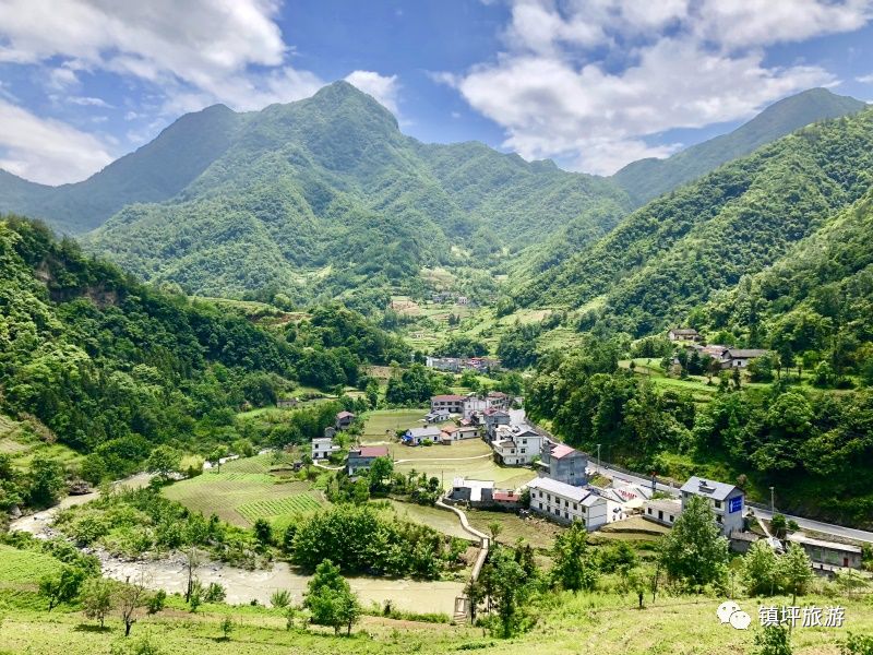 热闹了!镇坪县曾家镇首届栽秧节隆重举行!