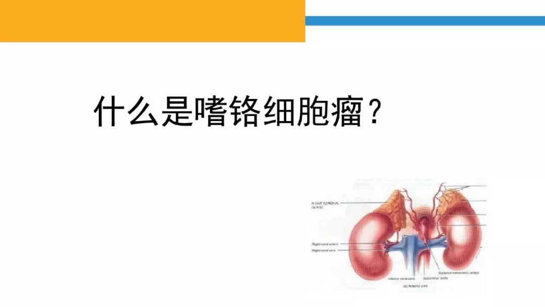 嗜铬细胞瘤患者的护理