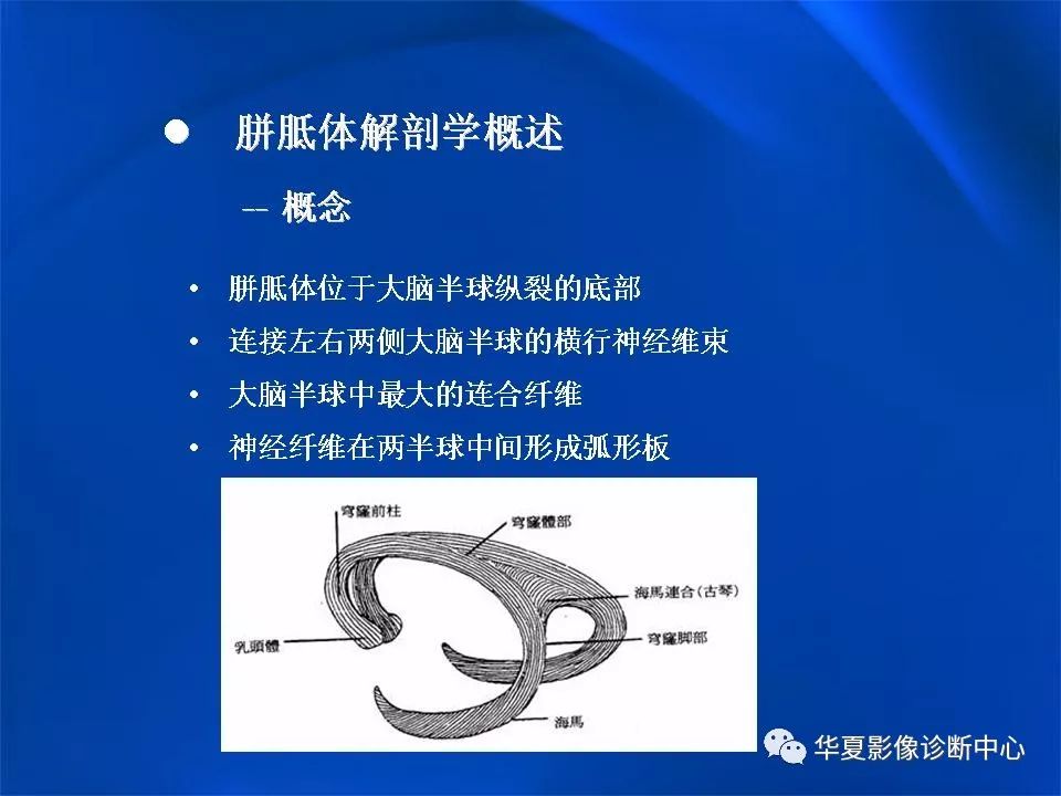 胼胝体解剖及各种病变的影像学表现