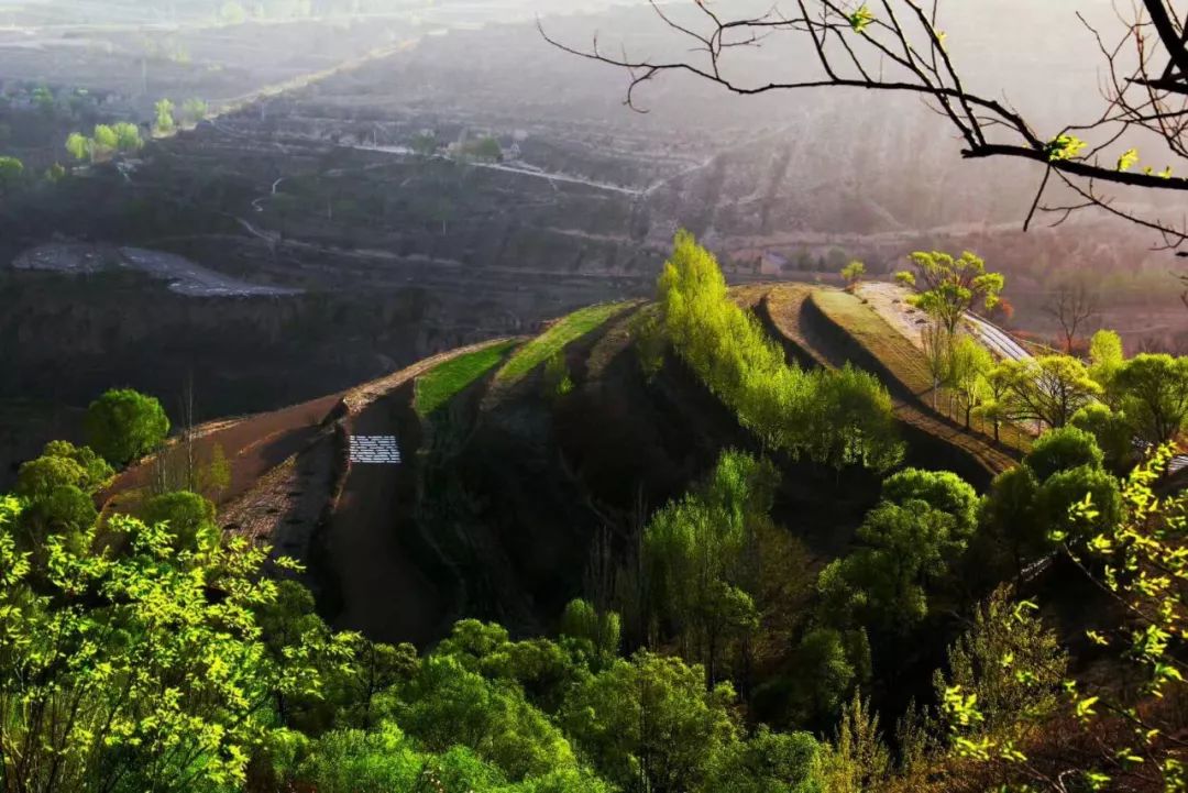 彭阳栖凤山图片