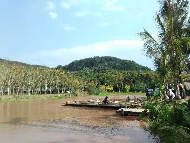 西雙版納文化農莊之旅景洪市勐養鎮曼掌村