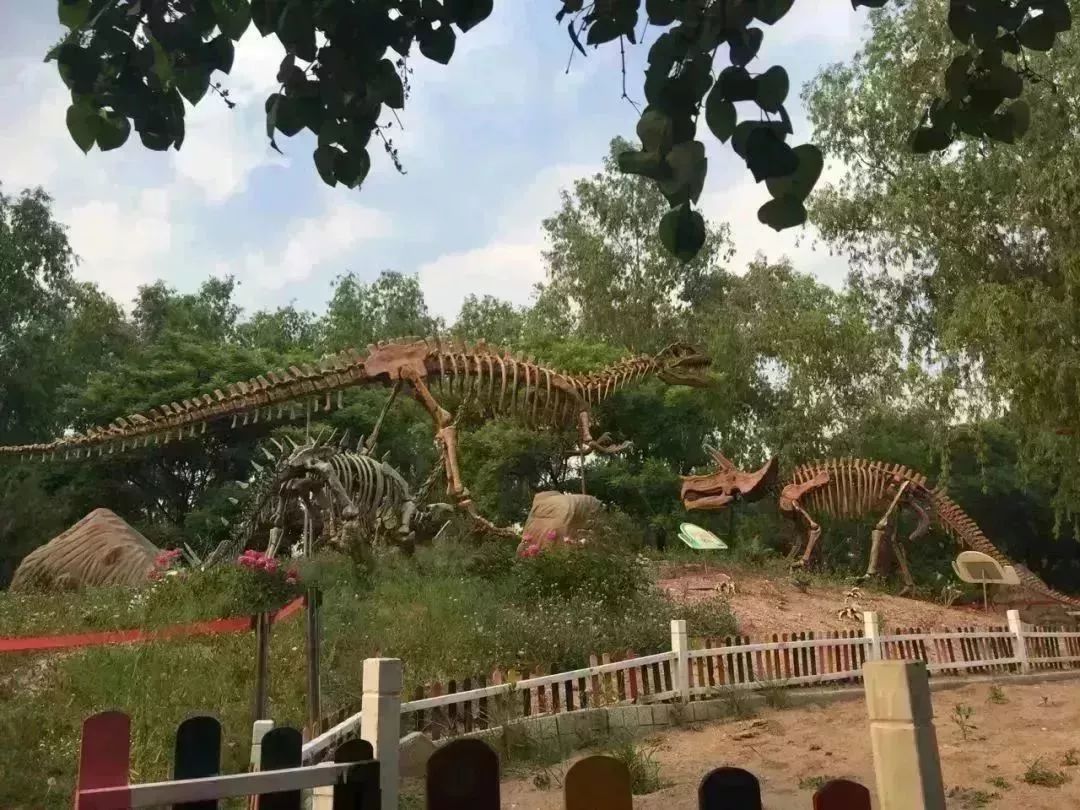 长沙恐龙乐园在哪里图片