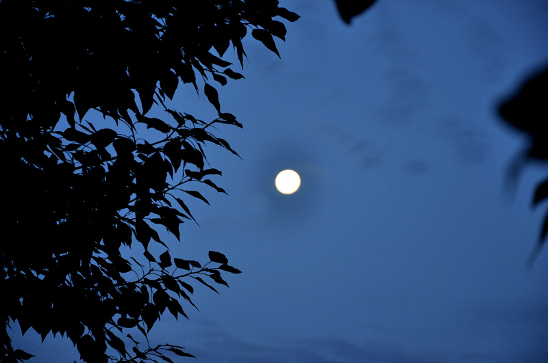 呼和浩特月亮图片