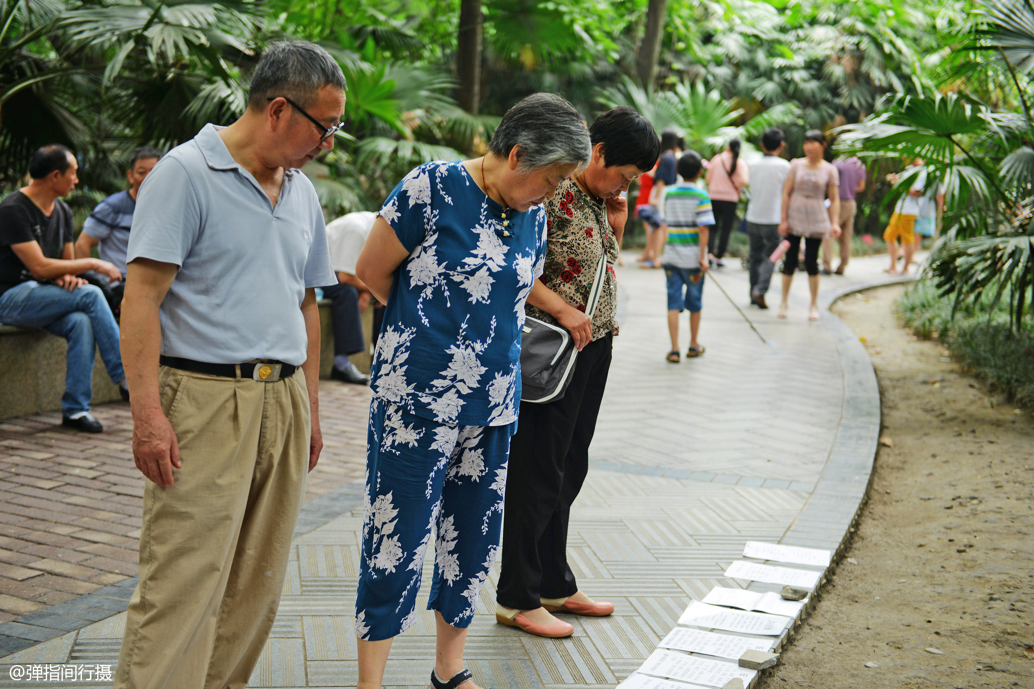 成都人民公园相亲火爆!是找对象难了?还是欲望多了?