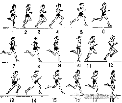 中长跑动作分解图图片