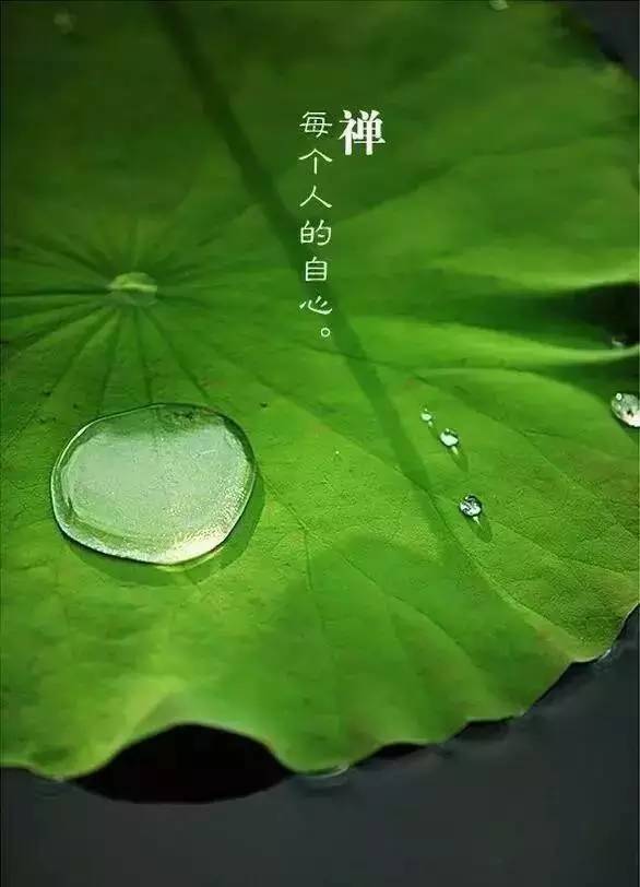 言多必失背景图片