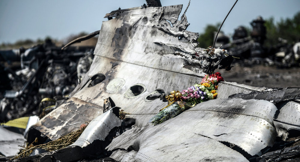 mh17航班坠毁现场图片来源:俄罗斯卫星网