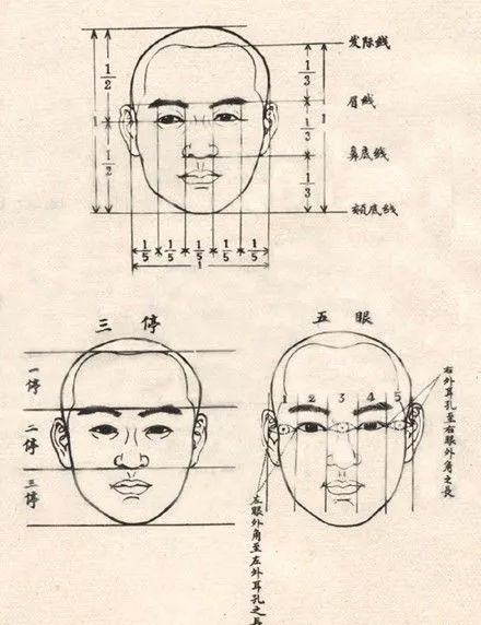 比例关系:要准确画好人物的五官,首先确定三庭五眼的比例关系