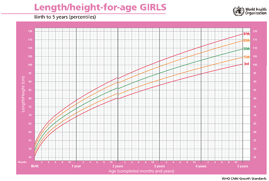 0～5 岁女孩的年龄