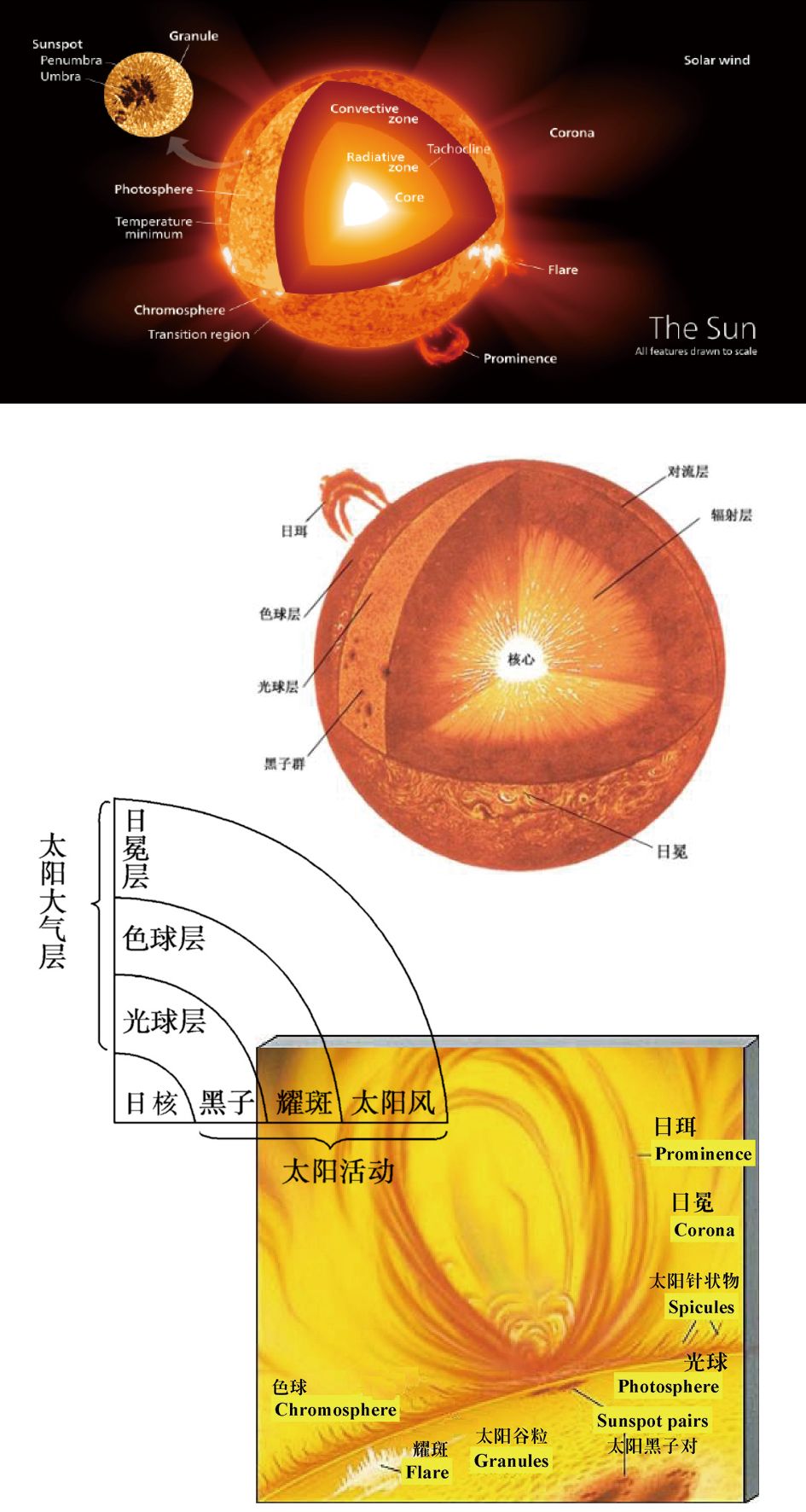 太阳分为哪三层图片