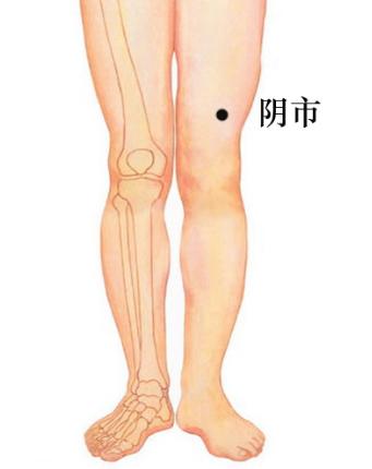 采用坐位,在大腿前面,找到阴市穴的位置,用拇指指腹深深向下按压阴市