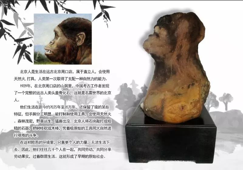 北京猿人头盖骨诗歌图片