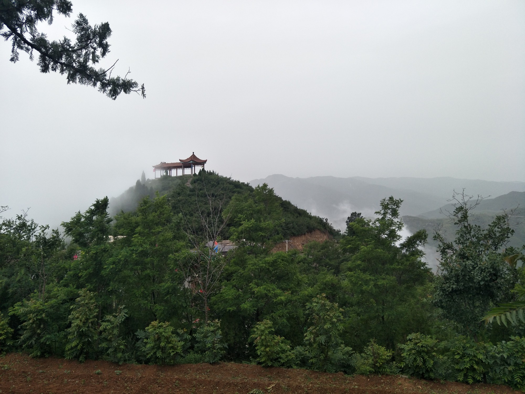 富平县金粟山森林公园图片