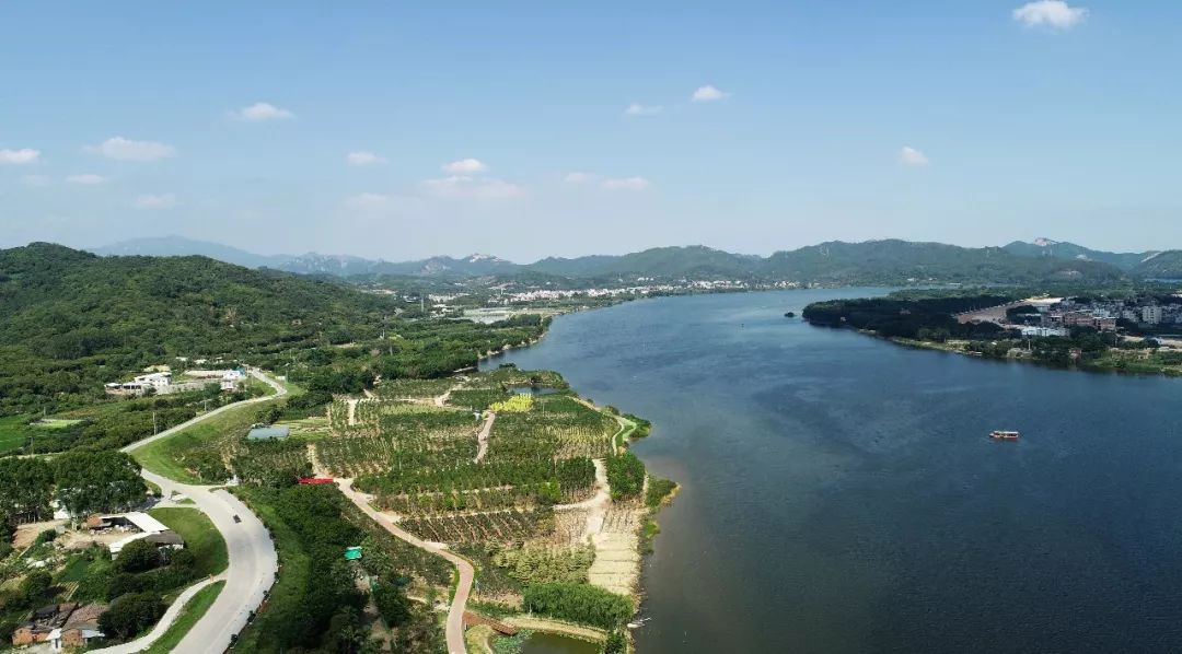 踏风骑行,让树荫掠过面颊绿道如练沿水岸铺陈北溪路段△郭坑镇慢行