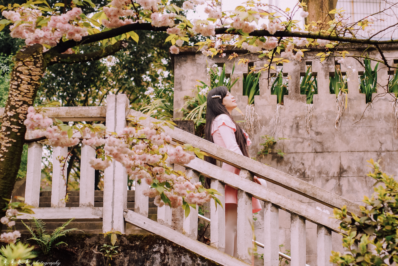 樱花女孩 真人图片