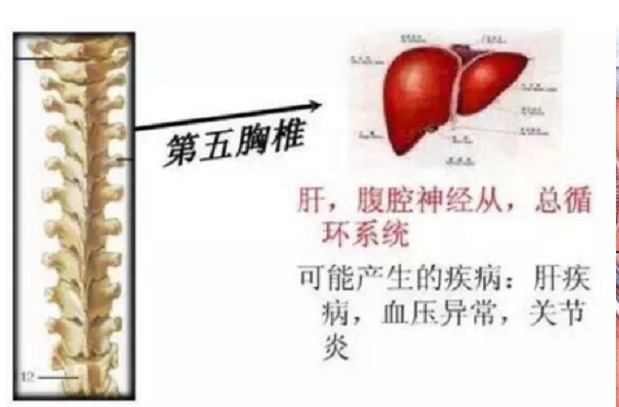 胸椎损伤一般会出现哪些症状