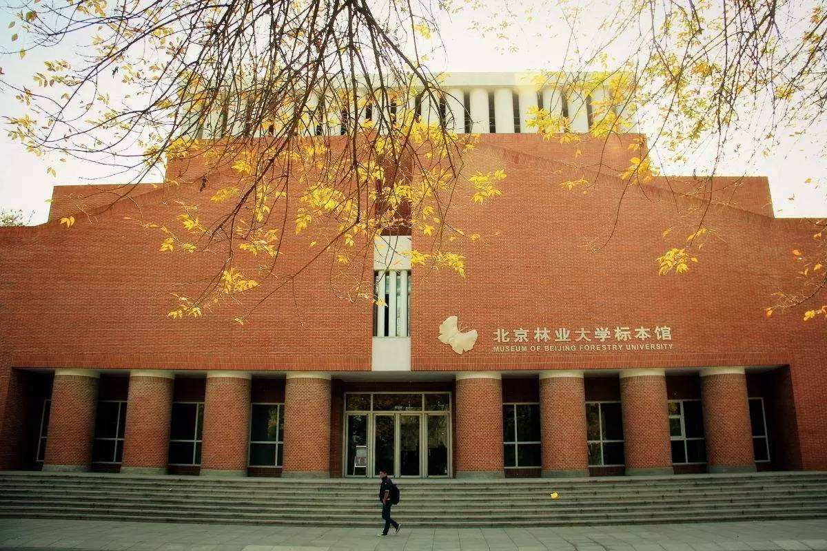 北京林业大学翻硕考研经验谈