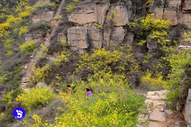 张家凹,穿越7个免费景区,自驾必去一次的,风景路线