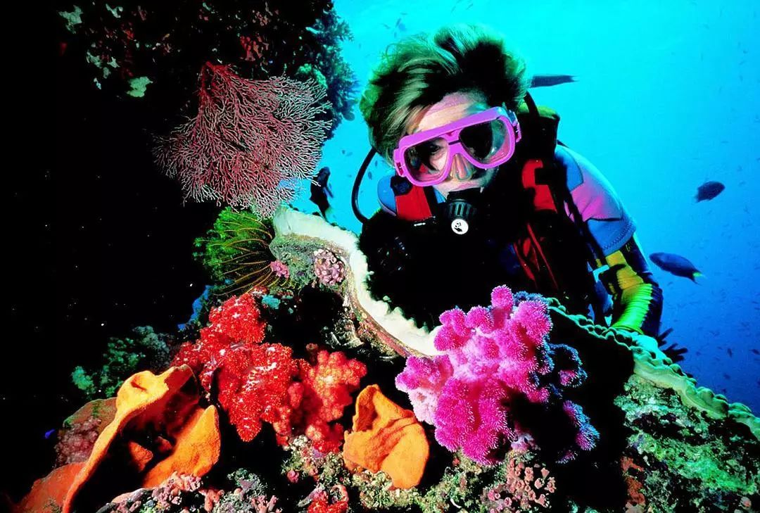 爱深埋在珊瑚海——你从未见识过的大堡礁!