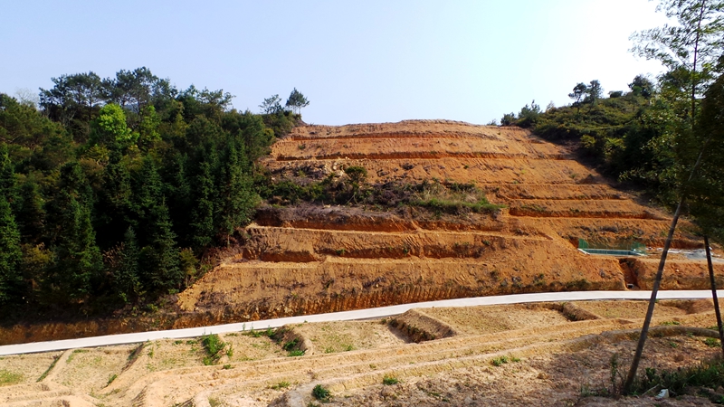 福建永春假耕地上山毀林造田為哪般