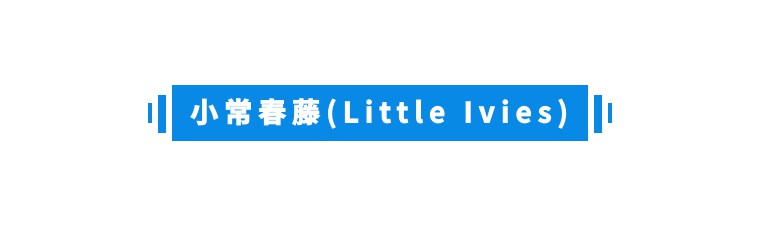 常春藤名校_名校常春藤還是常青藤_常春藤名校聯盟