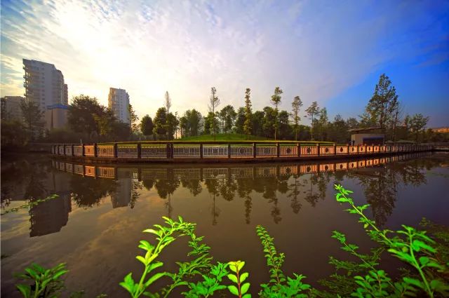 李德華 攝 體育森林公園我想和你每天傍晚在毗河漫步處在最清迷人的