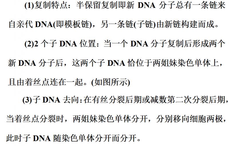 【生物】技巧丨图解法突破dna复制与细胞分裂中染色体复制问题