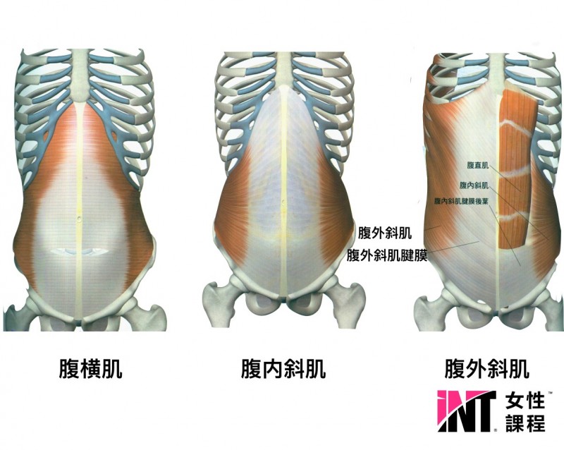 产后腹直肌分离