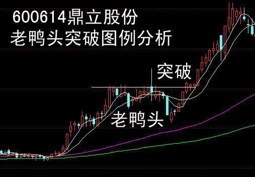 鸭嘴形态股票图片图片